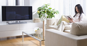 これでスッキリ 部屋にあふれた物を減らす方法と7つの習慣 これでスッキリ 部屋にあふれた物を減らす方法と7つの習慣